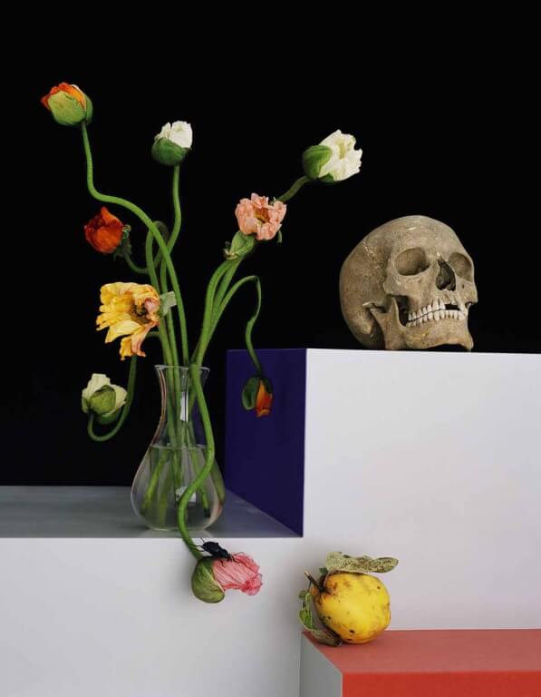 Stillleven-33-2009, uit de serie ‘Flowers, Fruits & Portraits’