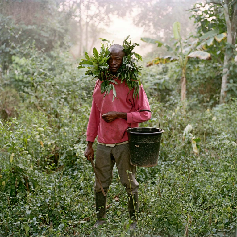 Paul Ankomah, Wild Honey Collector, Techiman District, Ghana
